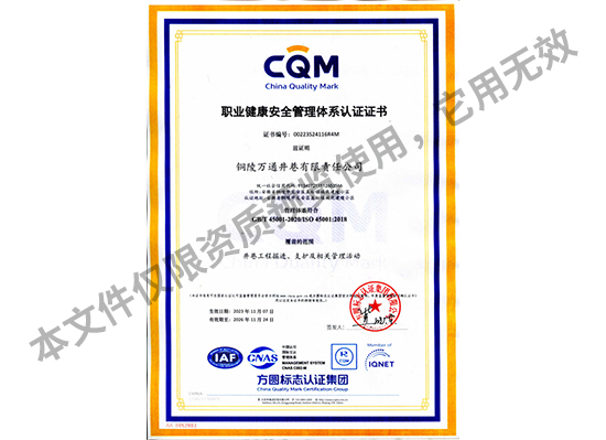 職業(yè)健康安全管理體系證書.jpg
